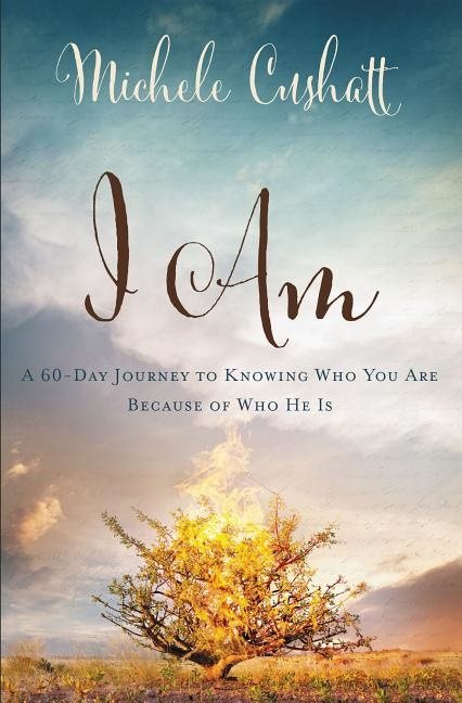 I am - a 60-day journey to knowing who you are because of who he is