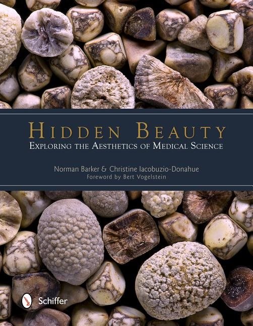 Hidden beauty: exploring the aesthetics of medical science