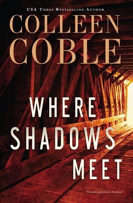 Where shadows meet - a romantic suspense novel