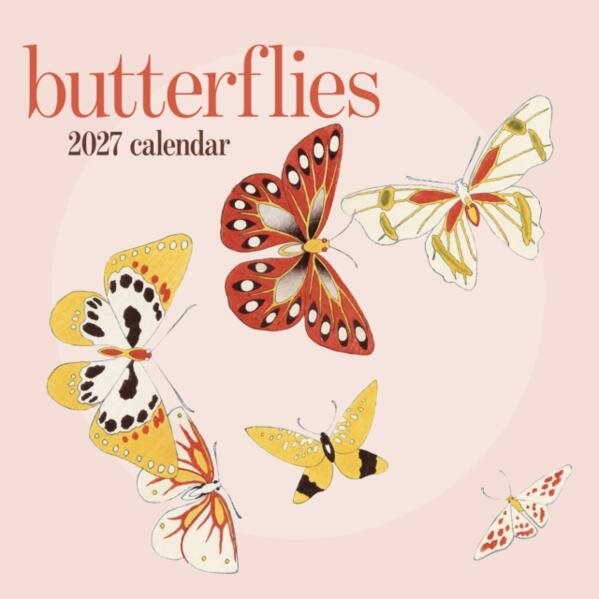 Butterflies : 2027 Wall Calendar