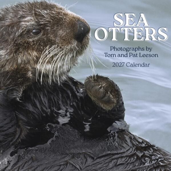 Sea Otters: Photographs by Tom and Pat Leeson : 2027 Wall Calendar