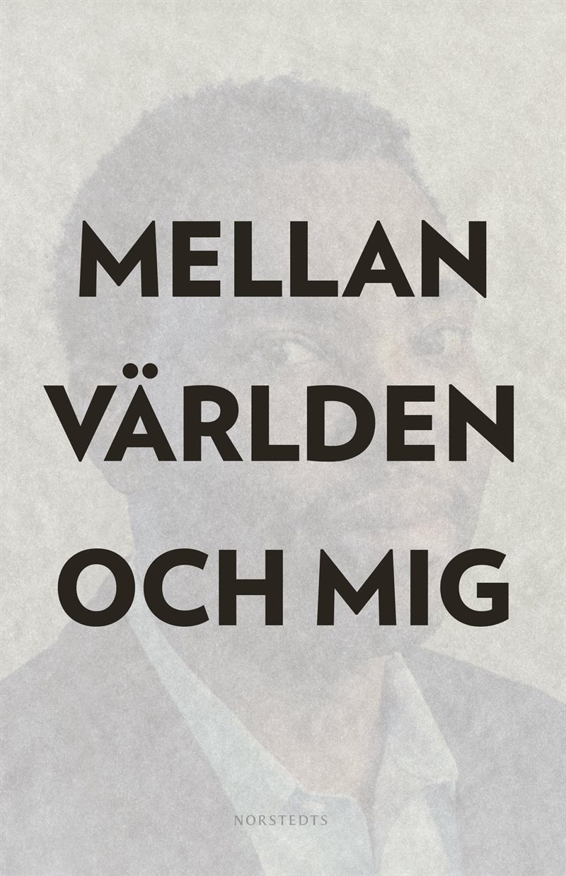 Mellan världen och mig