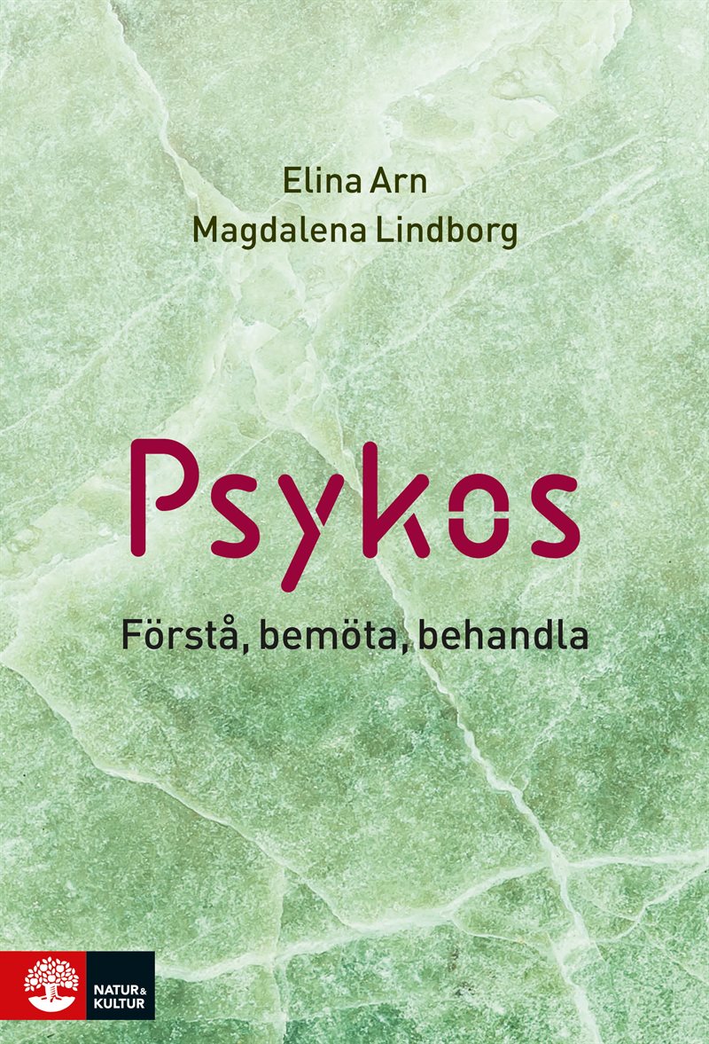 Psykos : förstå, bemöta, behandla