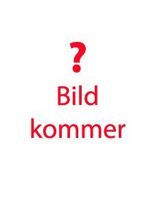 Lätta fakta om bläckfiskar
