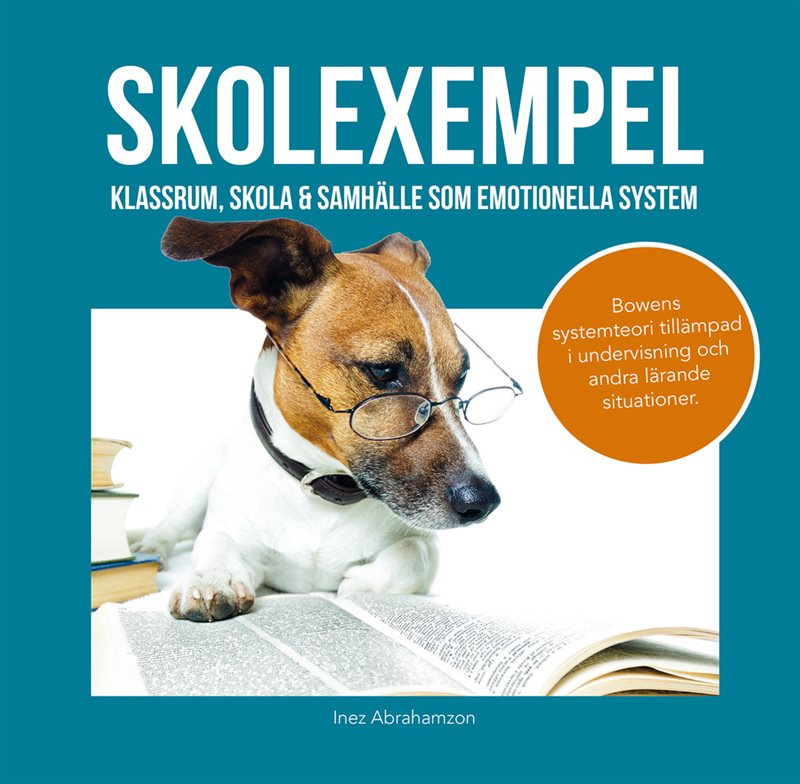 Skolexempel : klassrum, skola & samhälle som emotionella system