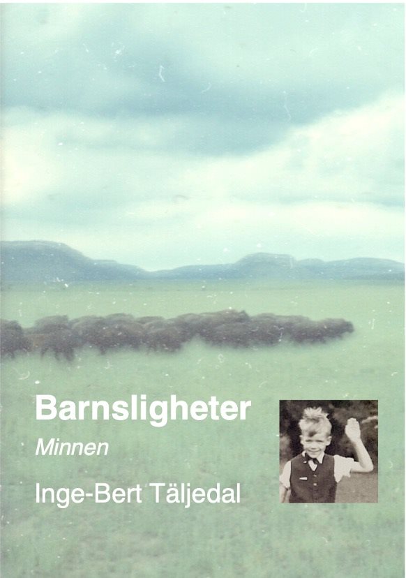 Barnsligheter : minnen