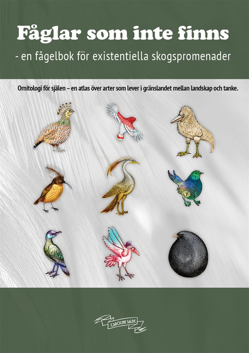 Fåglar som inte finns : en fågelbok för existentiella skogspromenader