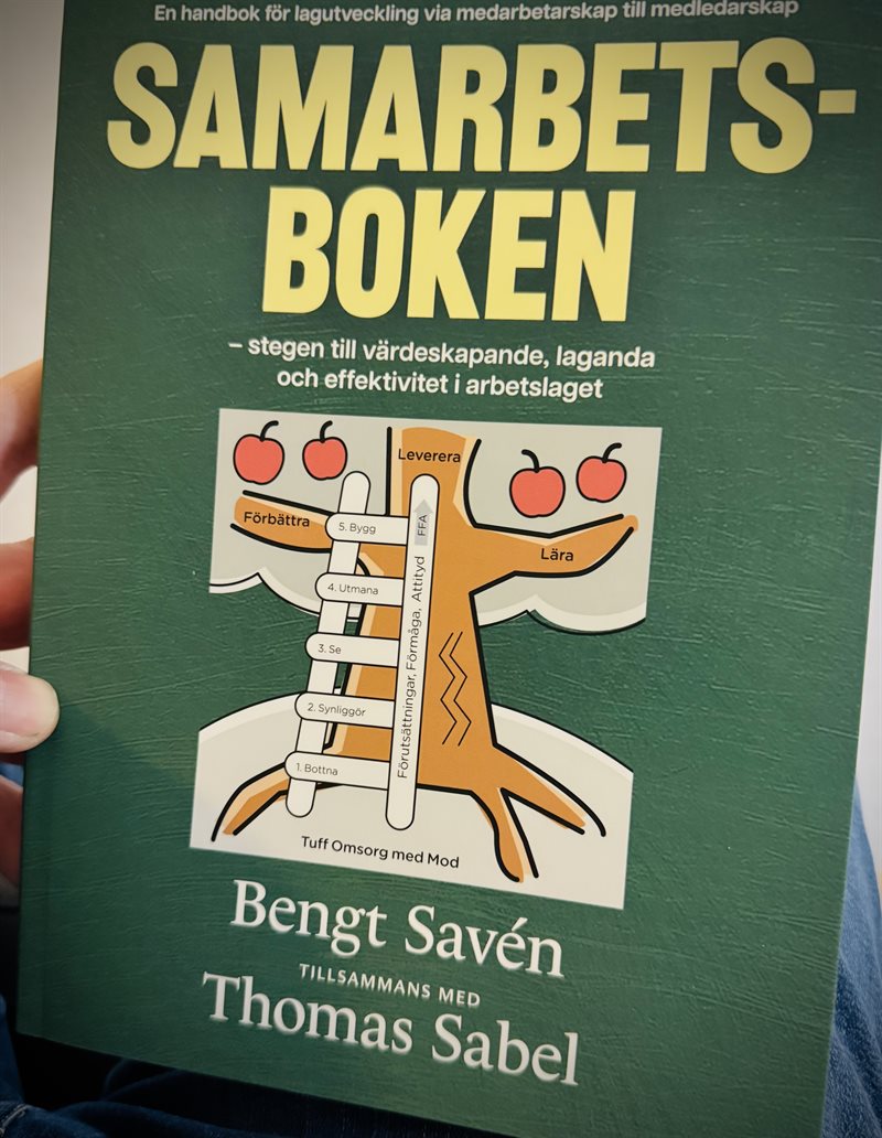 SamarbetsBoken : stegen till värdeskapande, laganda och effektivitet i arbetslaget