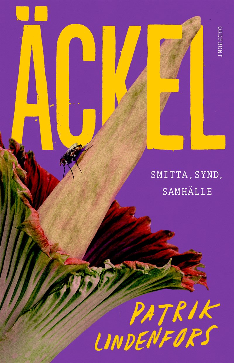 Äckel : smitta, synd, samhälle