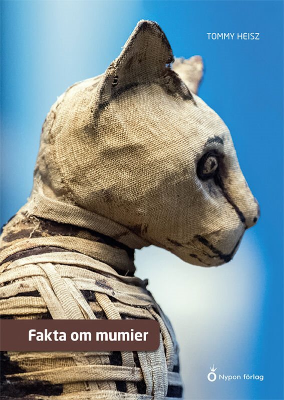 Fakta om mumier