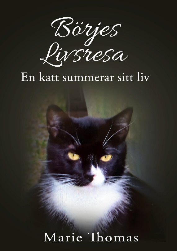 Börjes livsresa : en katt summerar sitt liv