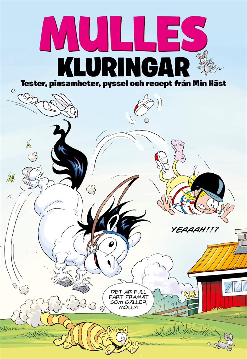 Mulles kluringar : tester, pinsamheter, pyssel och recept från Min Häst