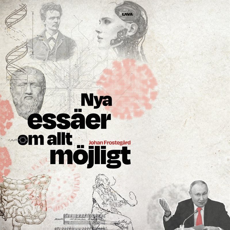 Nya essäer om allt möjligt