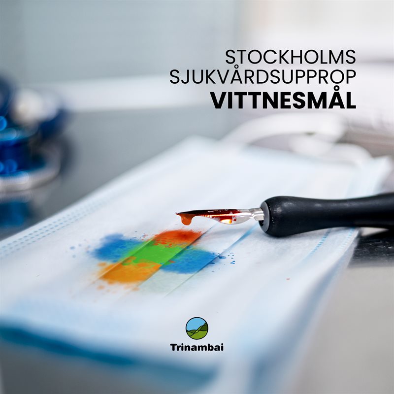 Stockholms sjukvårdsupprop : Vittnesmål