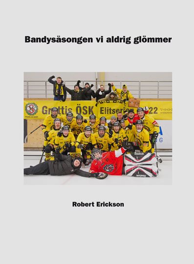 Bandysäsongen vi aldrig glömmer