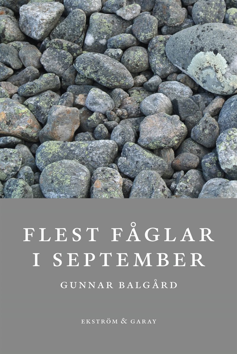 Flest fåglar i september