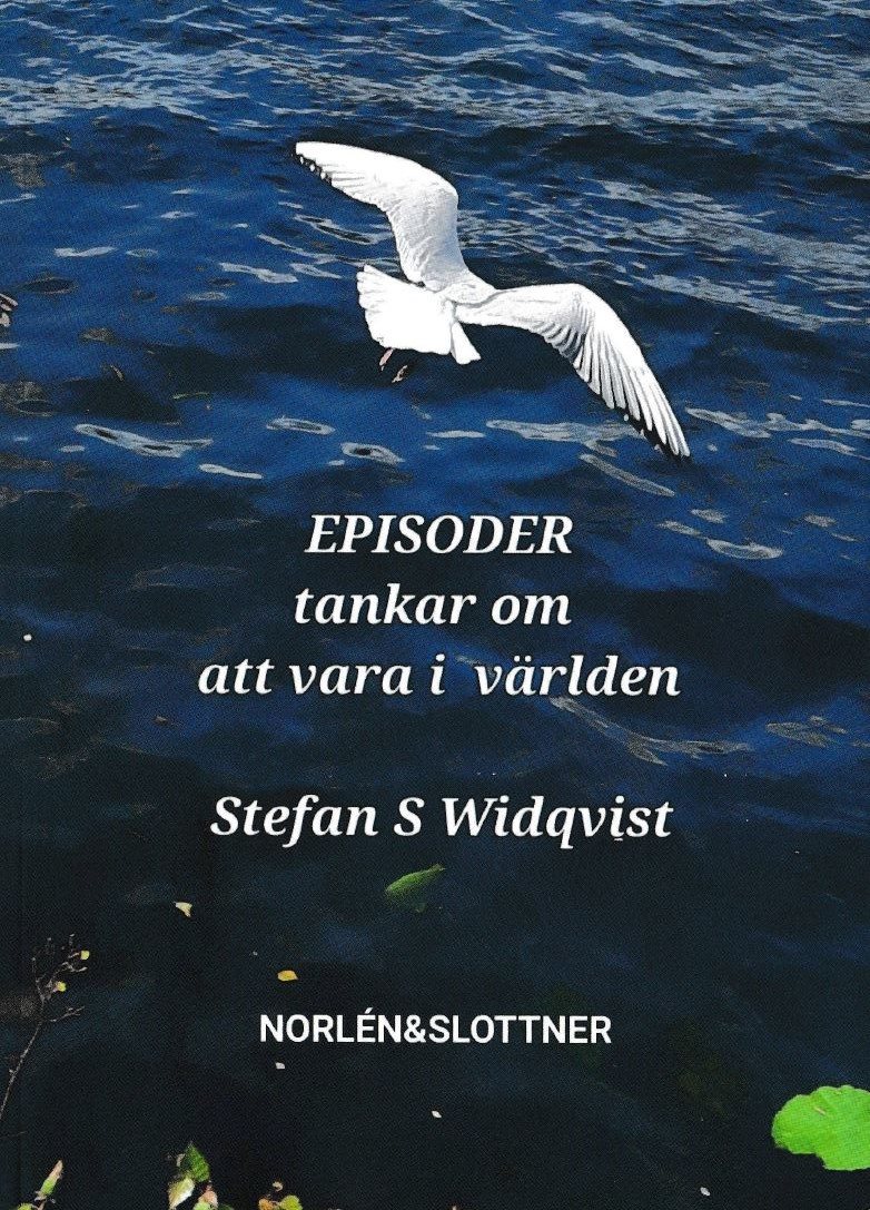 Episoder : tankar om att vara i världen