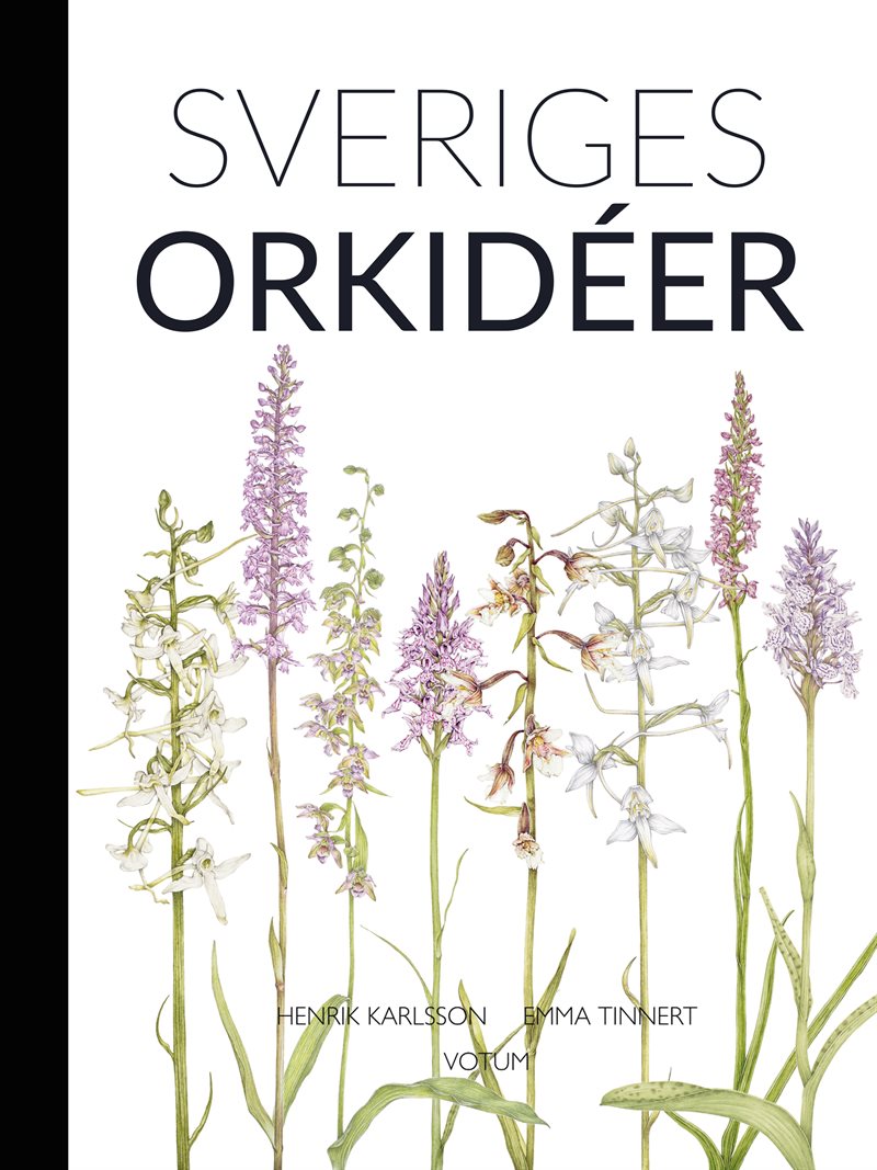 Sveriges orkidéer