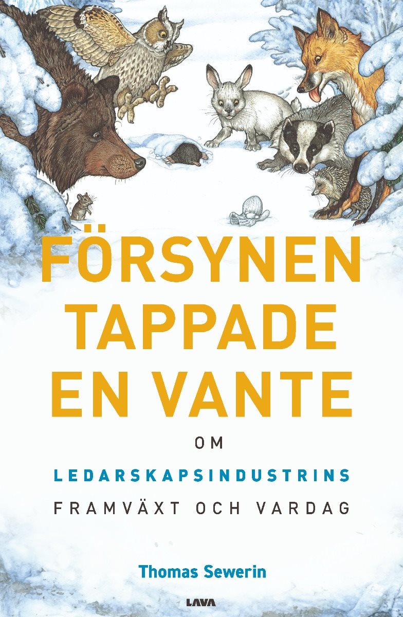 Försynen tappade en vante