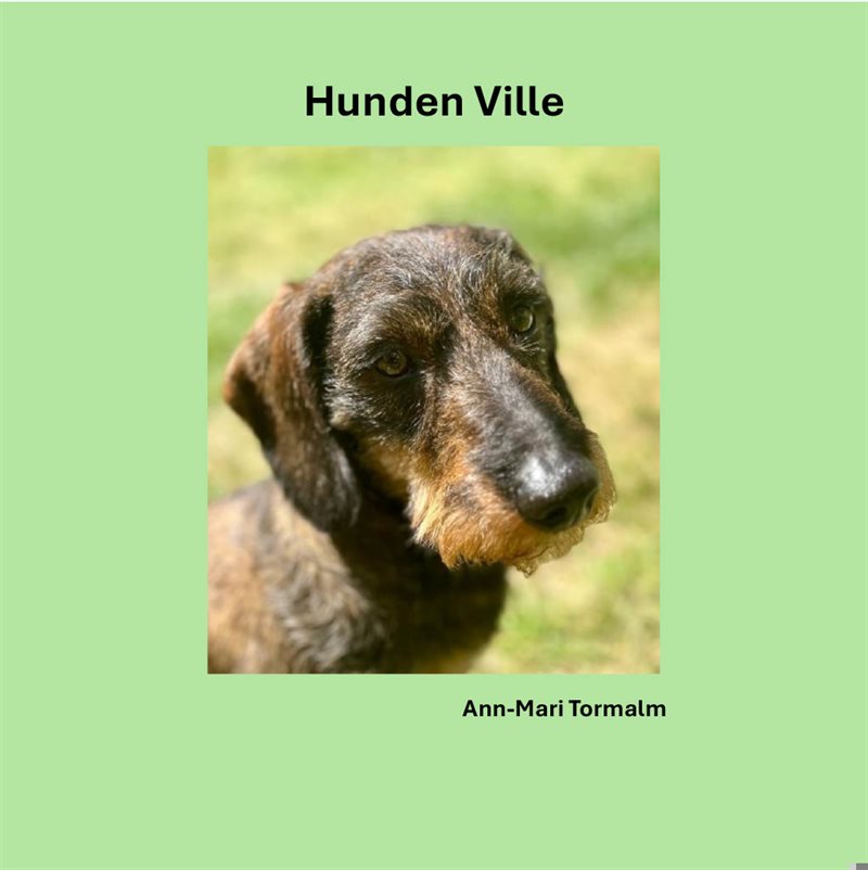 Hunden Ville