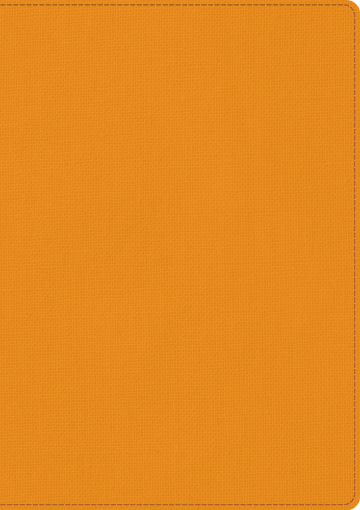 Skrivbok A5 PU linjerad orange