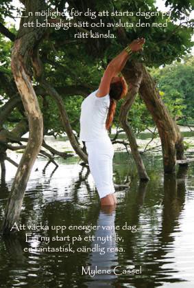 Casseliyogas Mjukyoga