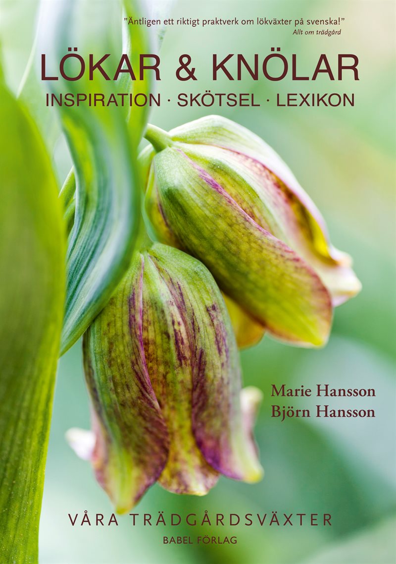 Lökar & knölar : inspiration, skötsel, lexikon