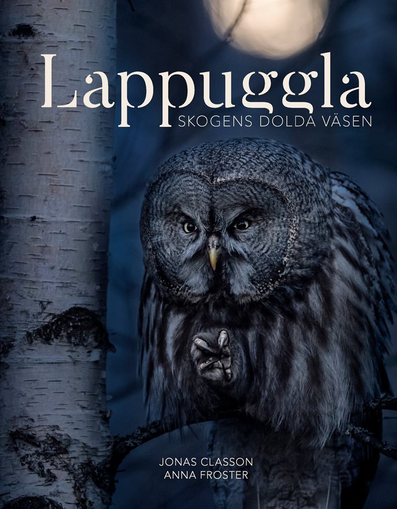 Lappuggla : skogens dolda väsen