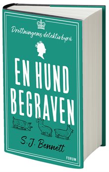 En hund begraven