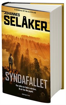 Syndafallet