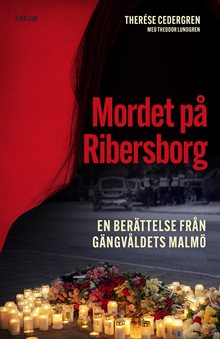 Mordet på Ribersborg : en berättelse från gängvåldets Malmö