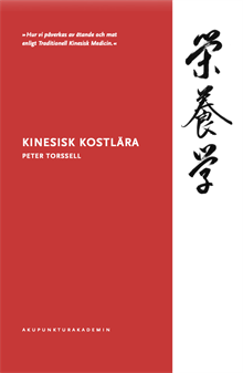 Kinesisk kostlära