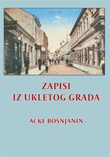 Zapisi iz ukletog grada