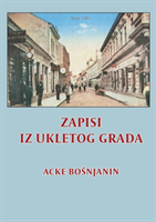 Zapisi iz ukletog grada